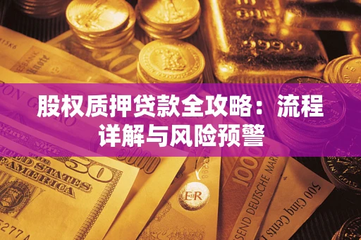 北京股权质押贷款全攻略：流程详解与风险预警