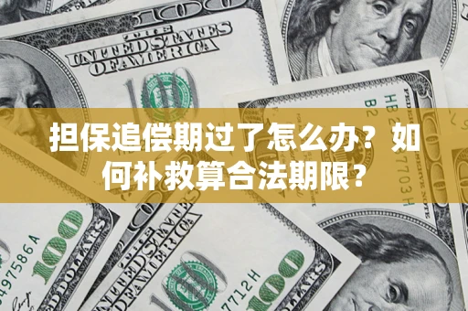 北京担保追偿期过了怎么办？如何补救算合法期限？