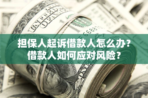 北京担保人起诉借款人怎么办？借款人如何应对风险？