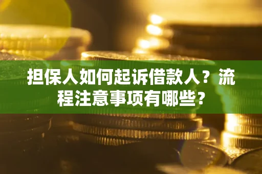 北京担保人如何起诉借款人？流程注意事项有哪些？